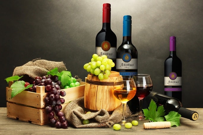 Fermentation technology - Biotechnology in the Food Industry